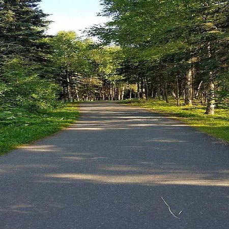 Moose Meadows- Near The Airport, Centrally Located Άνκορατζ Εξωτερικό φωτογραφία