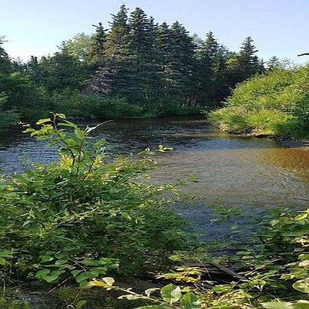 Moose Meadows- Near The Airport, Centrally Located Άνκορατζ Εξωτερικό φωτογραφία