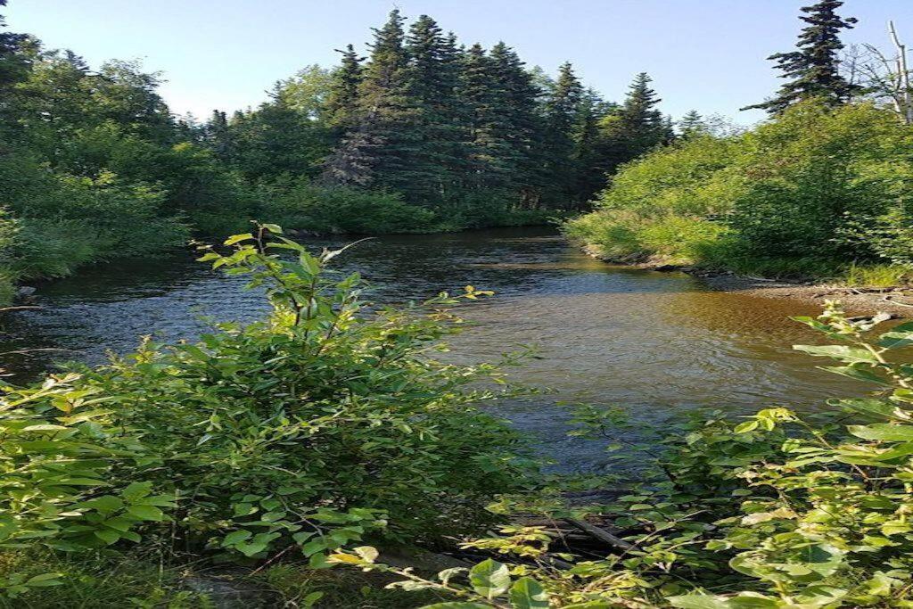 Moose Meadows- Near The Airport, Centrally Located Άνκορατζ Εξωτερικό φωτογραφία